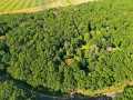 Property photo 50