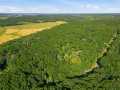 Property photo 54