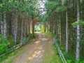 Property photo 22