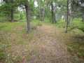Property photo 47