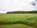 Property photo 50