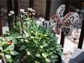 Property photo 55