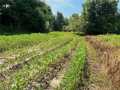 Property photo 50