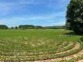 Property photo 52