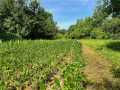 Property photo 54