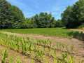 Property photo 56
