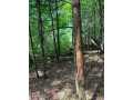 Property photo 57