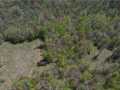 Property photo 52