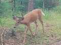 Property photo 44