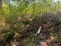Property photo 52