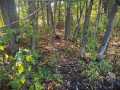 Property photo 57