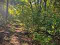 Property photo 59