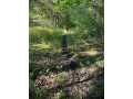 Property photo 60