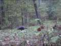 Property photo 50
