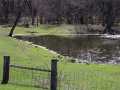 Property photo 52
