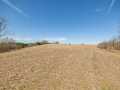 Property photo 50