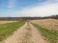 Property photo 58