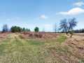 Property photo 59
