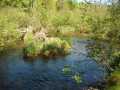 Property photo 51