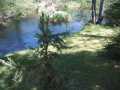 Property photo 53