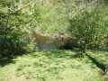 Property photo 54