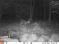 Property photo 56