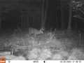 Property photo 57