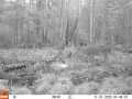 Property photo 58