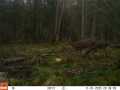 Property photo 60