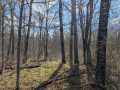 Property photo 44
