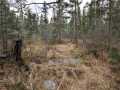 Property photo 56