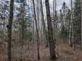 Property photo 58