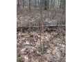 Property photo 59