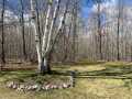Property photo 50
