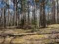Property photo 51