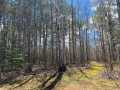 Property photo 52