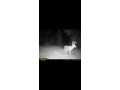 Property photo 60