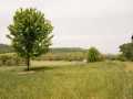 Property photo 55