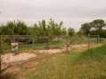 Property photo 56