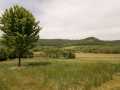 Property photo 59