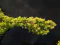 Property photo 53