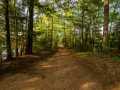 Property photo 57