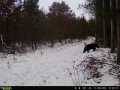 Property photo 50