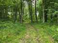 Property photo 44
