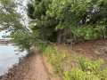 Property photo 55