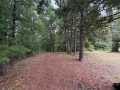 Property photo 58