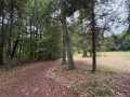 Property photo 59