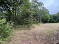Property photo 60