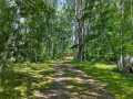 Property photo 38