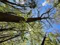 Property photo 54
